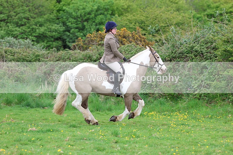 3E7A1449 - Class 8: Ridden Veteran Junoir and Senior