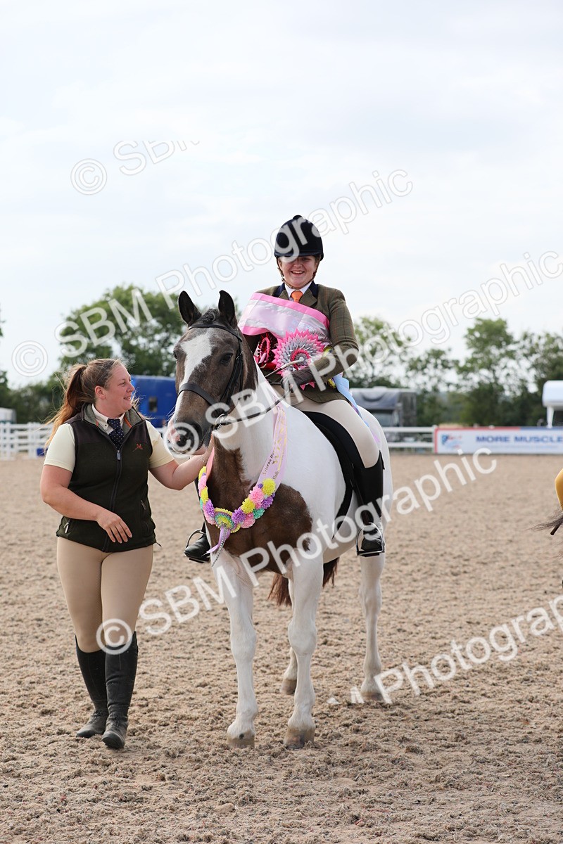SBM_17031 - Class 314 Family Horse/Pony