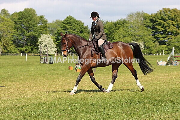 IMG_4640 - Working Hunter