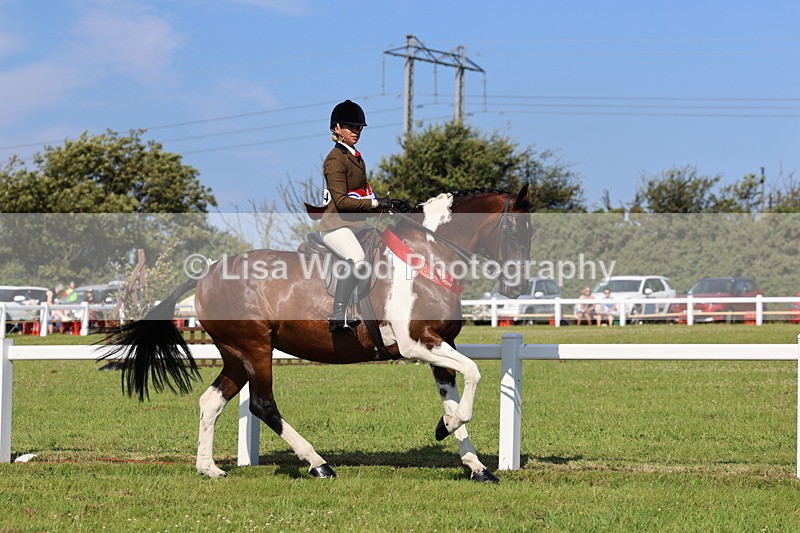 IMG_1689 - Skewbald and Piebald Ridden Championship
