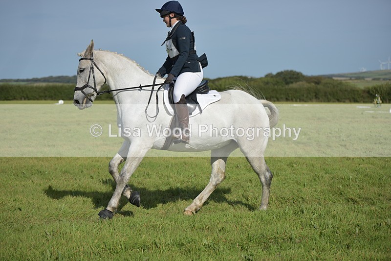 RAY_8130 - Class 2B: Trekenning Open: Dressage