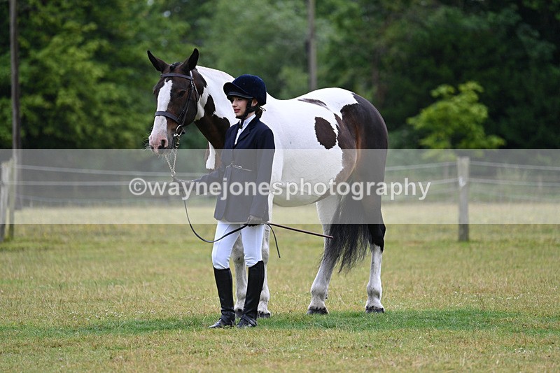 WJ7_6204 - Class 4a Prettiest Mare over 14hh