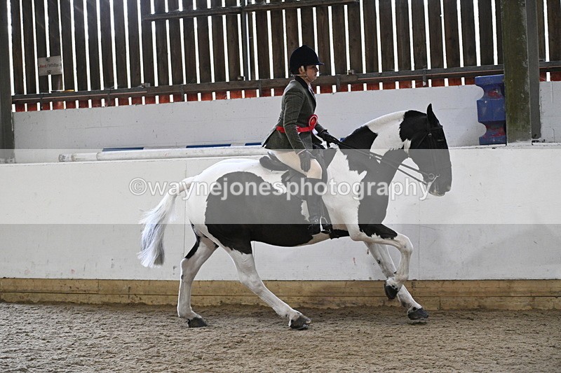 WJ7_4527 - Afternoon Champs