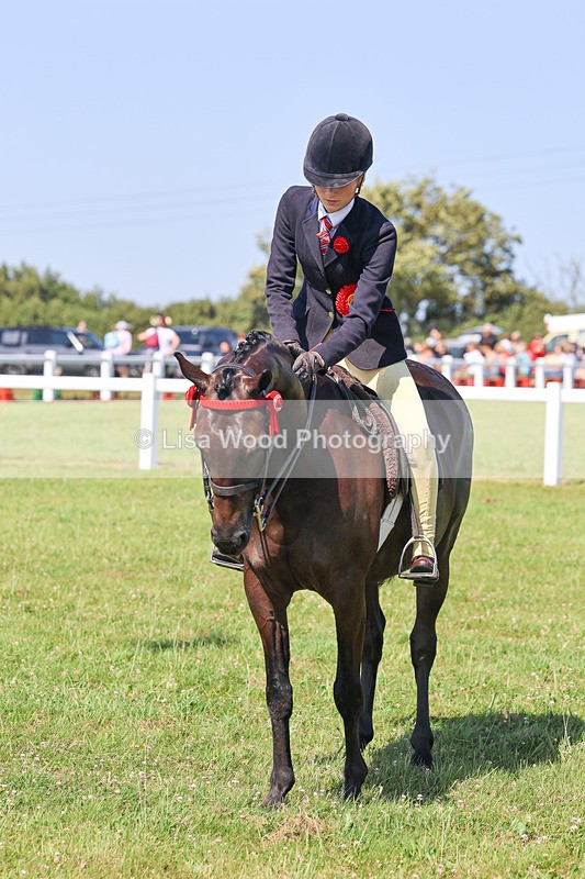 IMG_1970 - Class 33: Show Pony 148cm and under