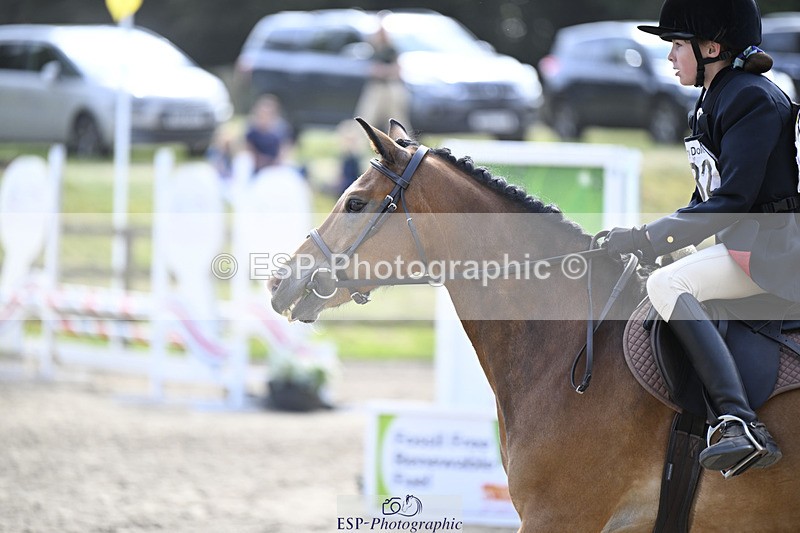 240823X-153127-18747 - 70cm R2 15.20 to 16.40