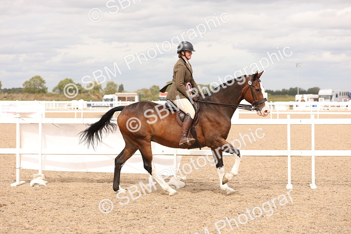 SBM_17293 - Class 213 - Ridden Hunter - Large