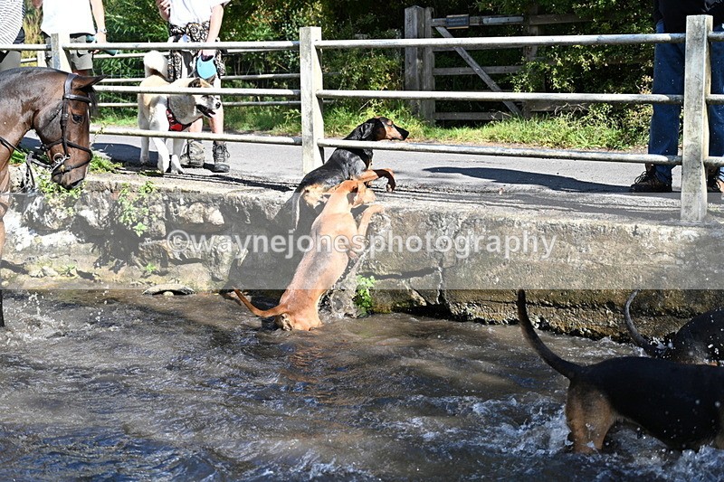 WJ7_6020 - Hounds Water Crossing