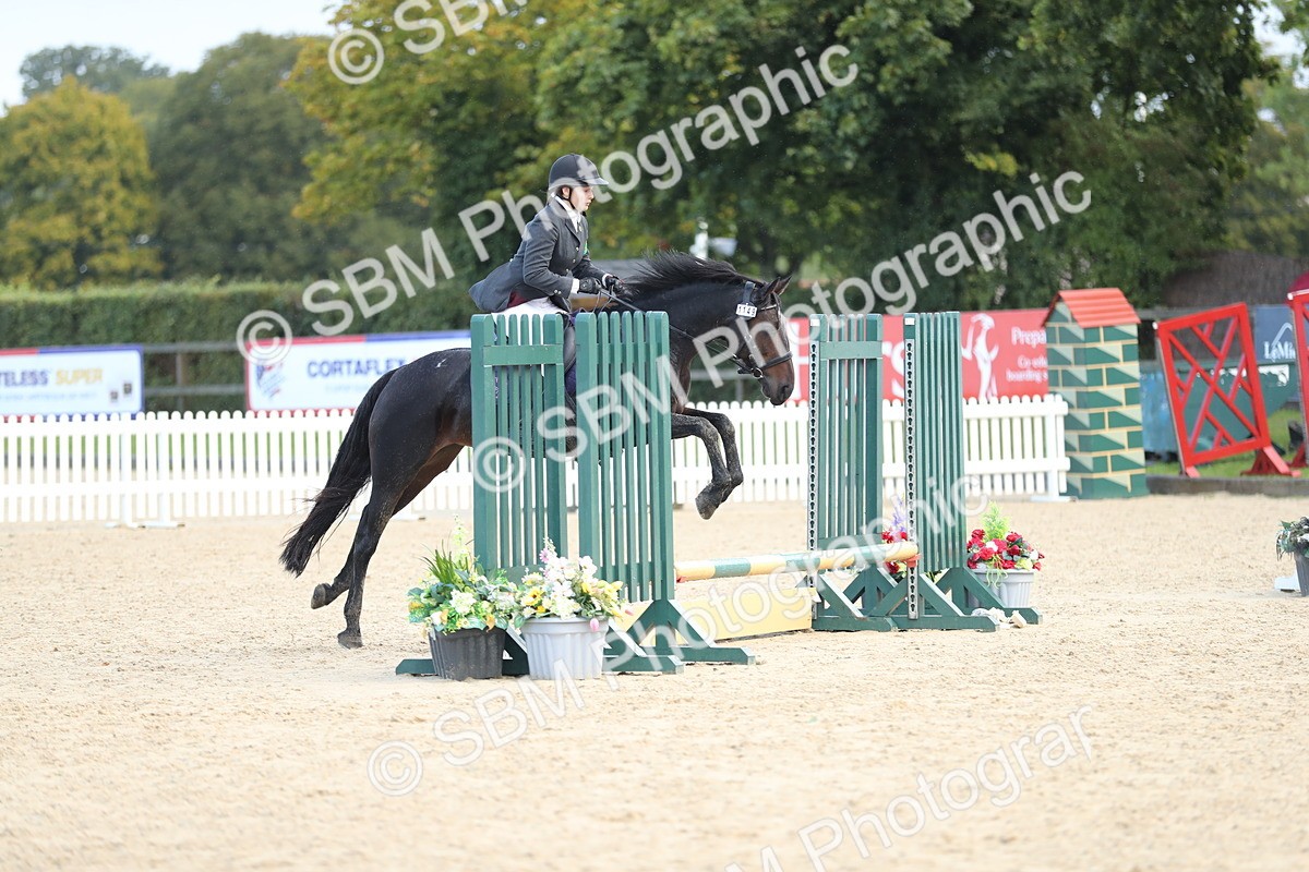 SBM_37267 - J20 - Junior Horse 50cm Championship