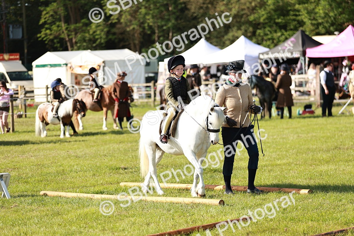 SBM_11233 - Class 106-107 - BSPS LIHS Working Sports Pony
