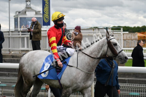 yr22052021r1-11 - Race 1 2.05pm William Hill Pick Your Places Stakes