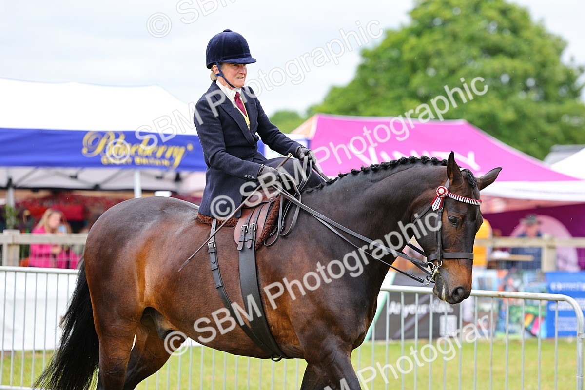 SBM_02926 - Class 9-11 Side Saddle including LIHS Rising Star Ladies Show Horse