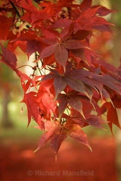  - Autumn