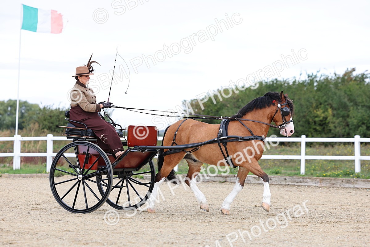 SBM_000263 - Class 2 - Exercise Vehicle 13.2hh & Under
