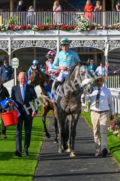 111025-Race 4-Binhareer-0483 - Race 4 Coral Sprint Trophy Handicap at York
