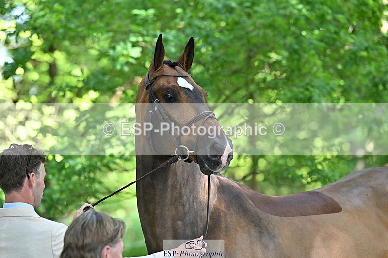 250521A-154749-00769 - B-367-Tom.Grant-QUID