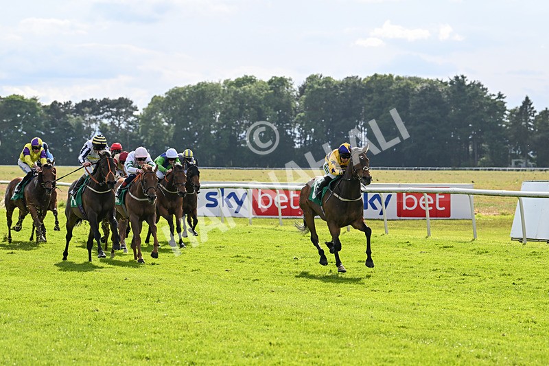 160624-Race 5-American Affair-8955 - Race 5