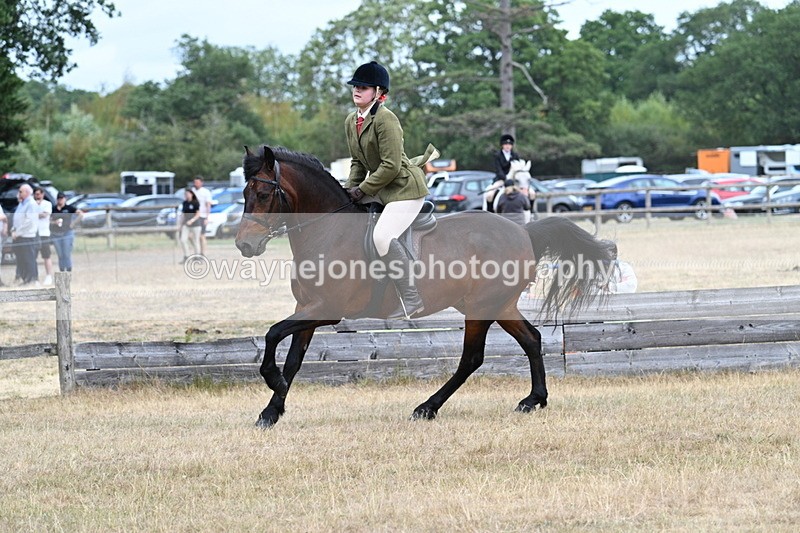 WJ7_0636 - Class 6 Ridden Mountain and Moorland