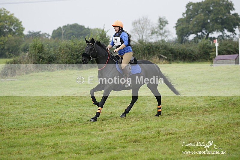  WWHT 171021 0883 - Open Novice (0.80m)  17/10/21