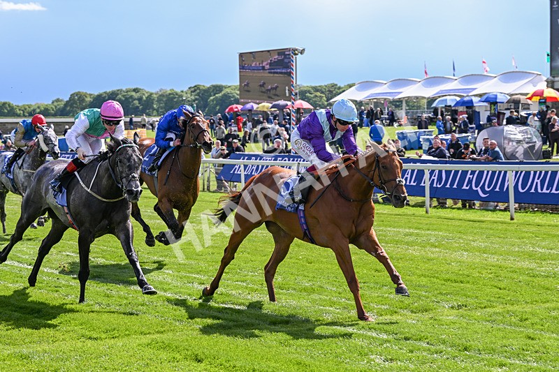 140526-Race 4-See The Fire-5175 - Race 4 3.30pm Al Basti Equiworld Dubai Middleton Fillies' Stakes