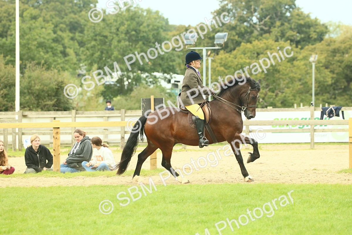 SBM_71990 - S60 - Mountain & Moorland Ridden Large Breeds