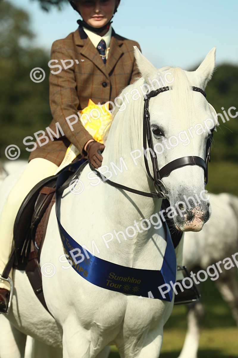 SBM_61145 - Starter Supreme Championship
