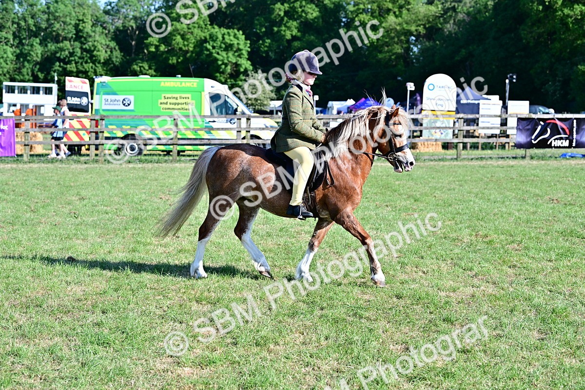 SBM_19845 - Class 103 - 105 - TSR Ridden Amateur of the Year Plaited Ponies