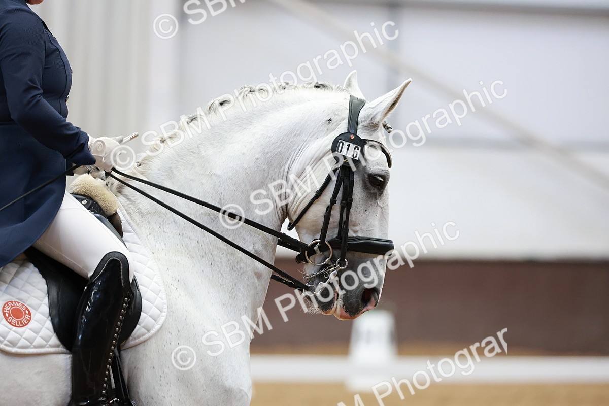 SBM_025920 - All MCI Classes