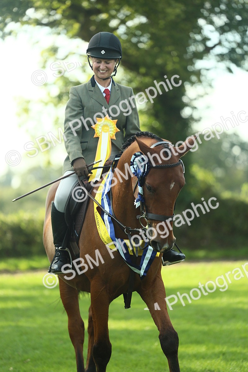 SBM_52321 - Working Hunter Supreme Championship