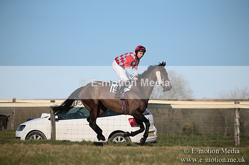 PtP 230219 478 - Vine & Craven Point-To-Point - Barbury 23/02/19
