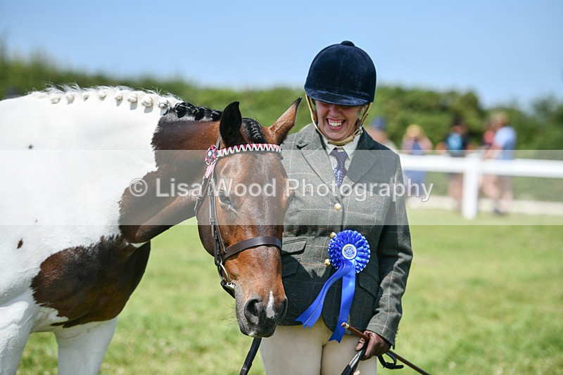 DSC_7873 - Class 65: Coloured Horse 4yrs & Over