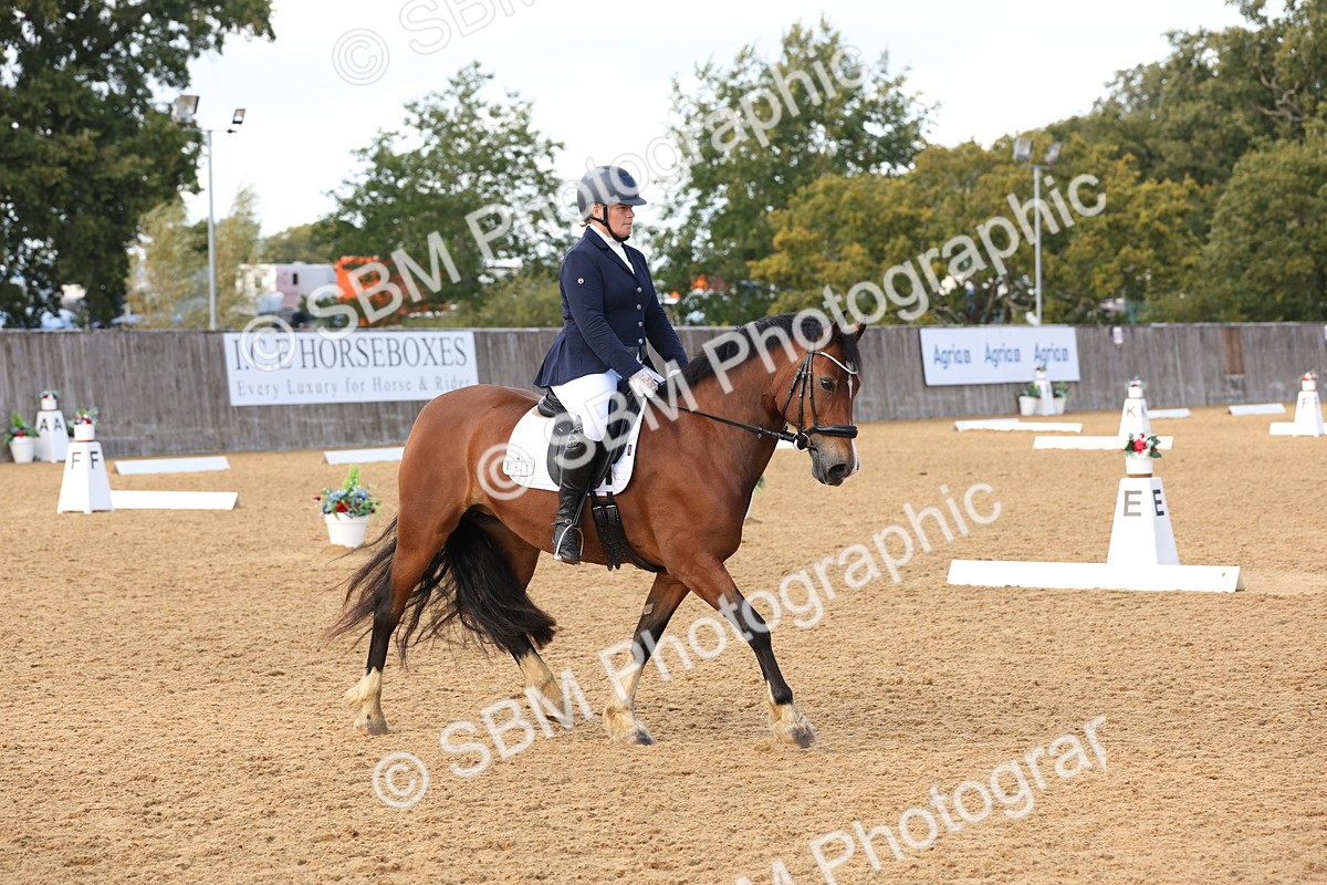 SBM_47437 - D12 - Small Tour Championship prelim 2