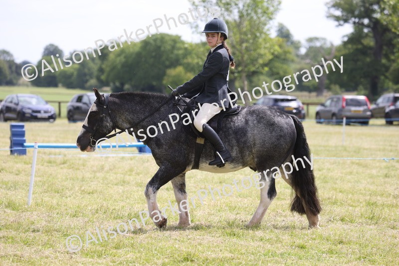 20260614-1985 - Class 21 - Novice Working Hunter Pony