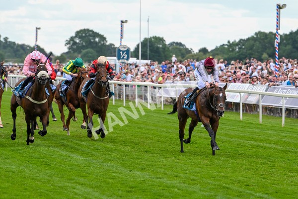 140625-Race 1-Humam-1930 - Race 1 1.50pm Doug Johnston Memorial Ubettabelieveit Macmillan Handicap