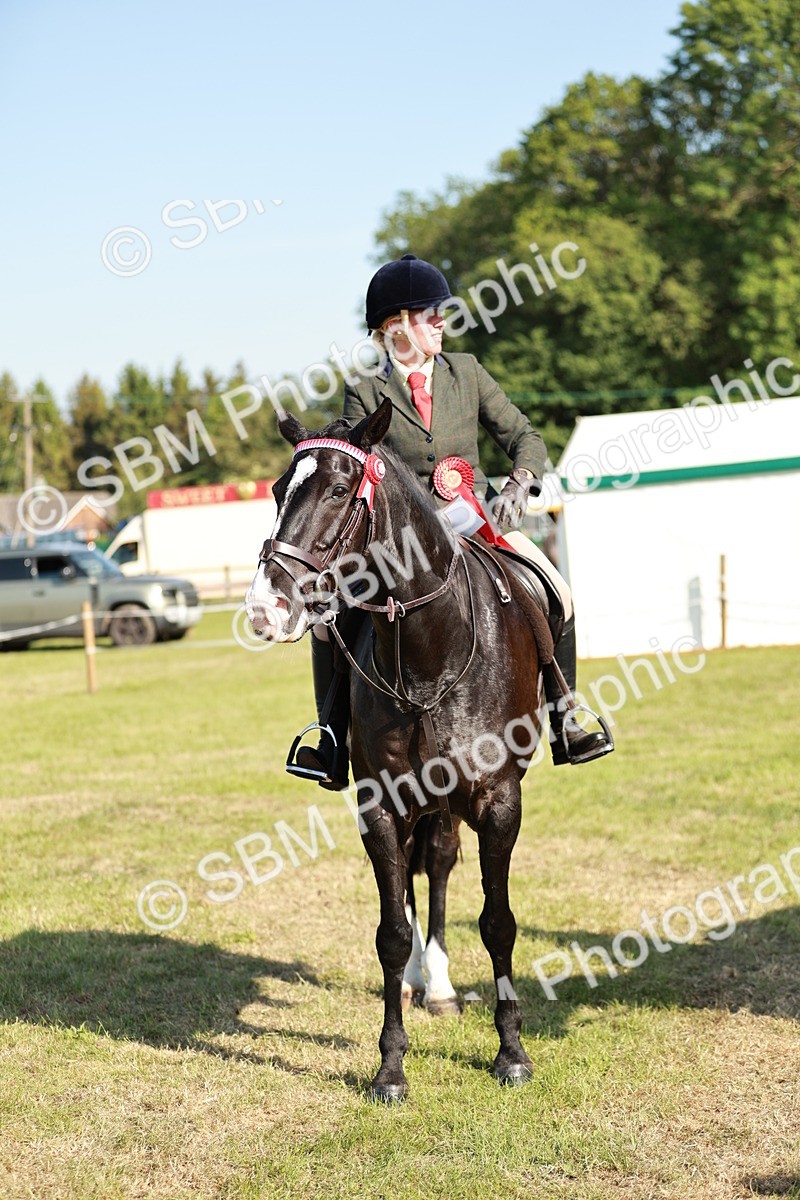 SBM_19321 - Class 115-116 - LIHS BSHA Rising Star Working Hunter & Show Horse
