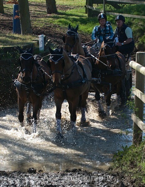 _DSC0320 - Ashfields Carriage & Polo Club