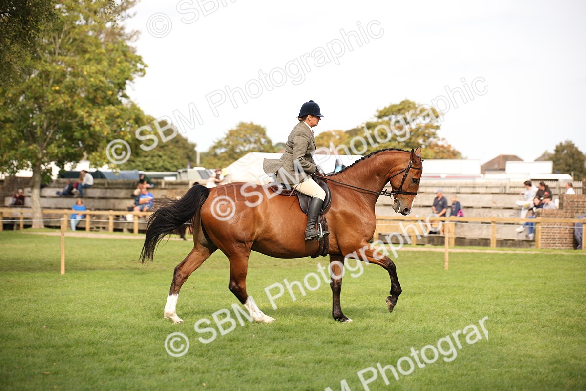 SBM_70424 - S66 - Hunter Ridden