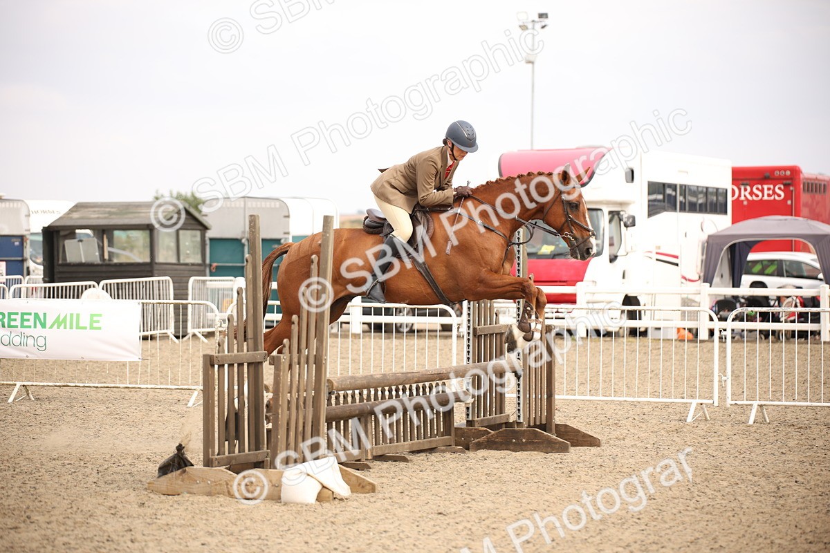 SBM_17081 - Class 409b - Working Veteran 80cm (20+)