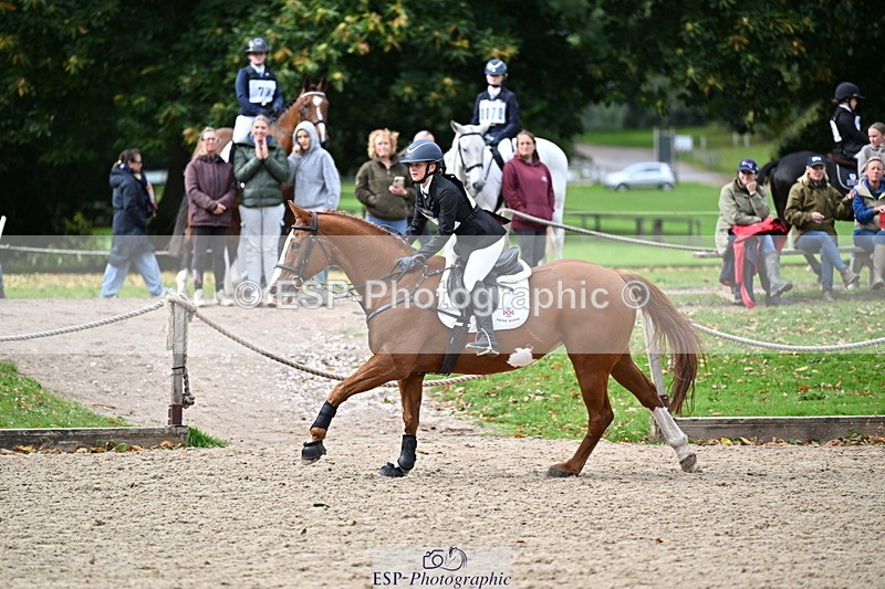 251005A-134002-04125 - Cls 09 Nov 80-85cm