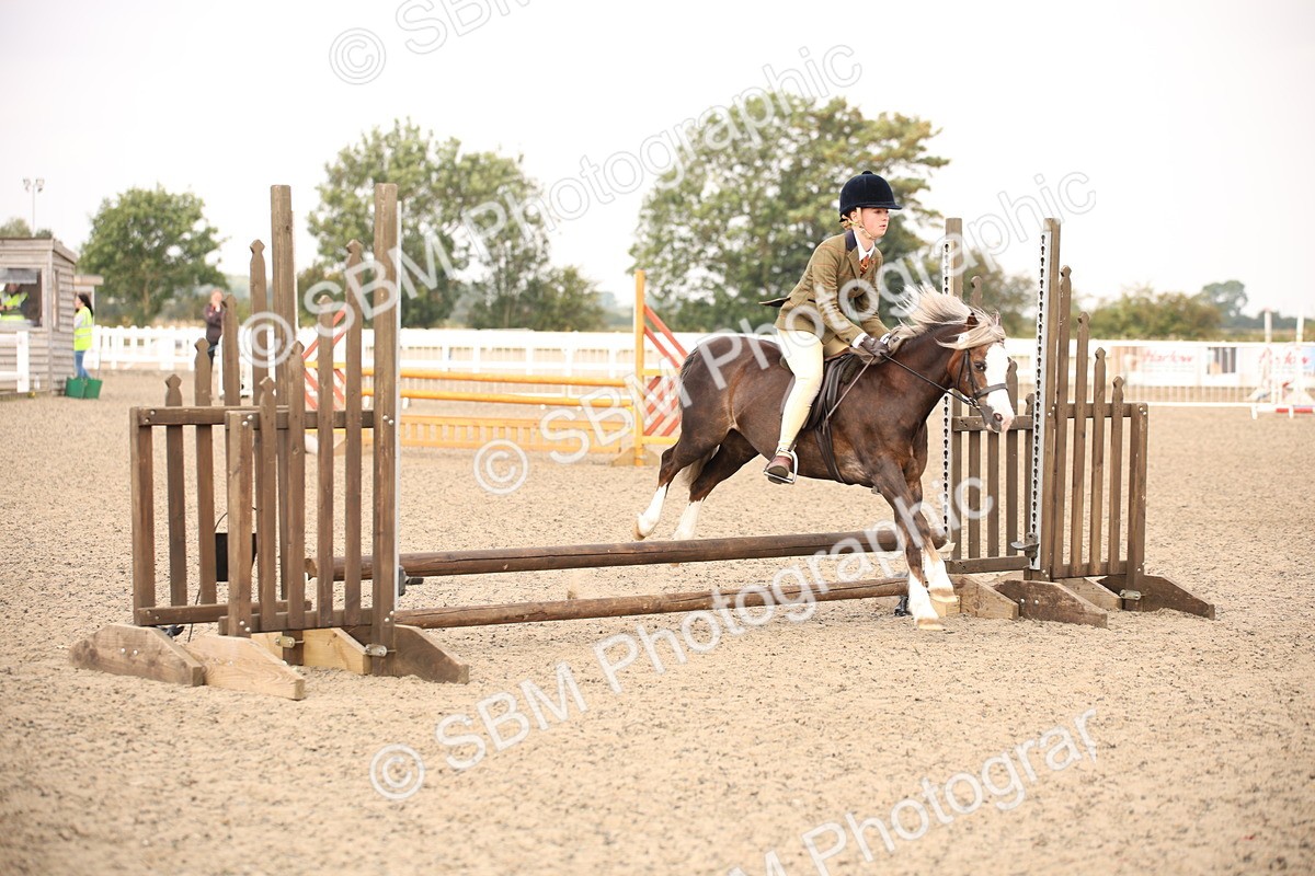 SBM_11695 - Class 404b Junior Working Veteran- 40cm(20+)