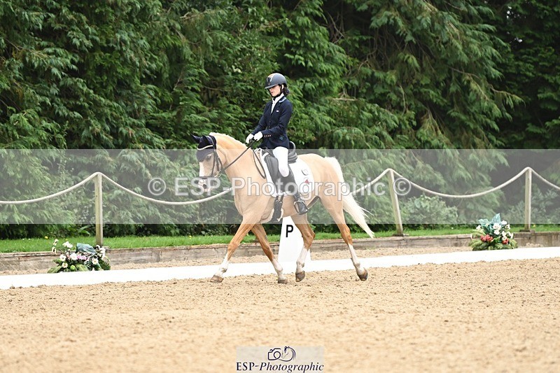 240811-122520-05820 - 301-Sophia.Longworth-Don.Deluxe