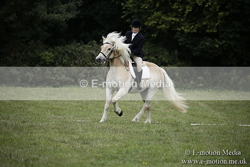 BVR090918 78 - BVRC Dressage and Show Jumping 09/09/18