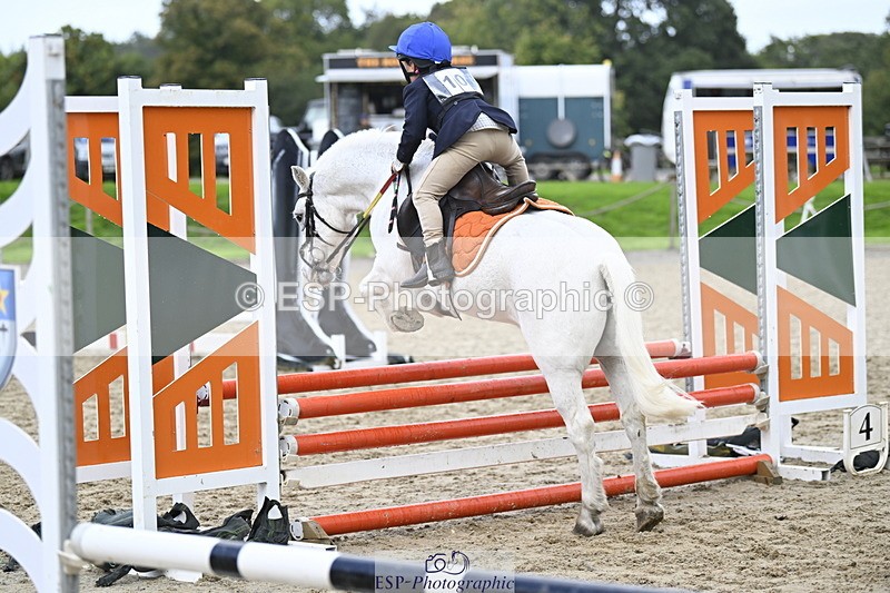 251005A-120610-03603 - Cls 08 Mini 70-75cm