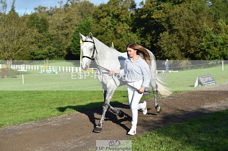 231022-101224-22305 - 479-CRUISING.STARLIGHT-Ava.Mae.West-TrotUp+SJ