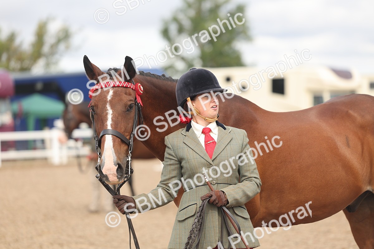 SBM_04489 - Class 18 - Handsomest Gelding (IH or Ridden)