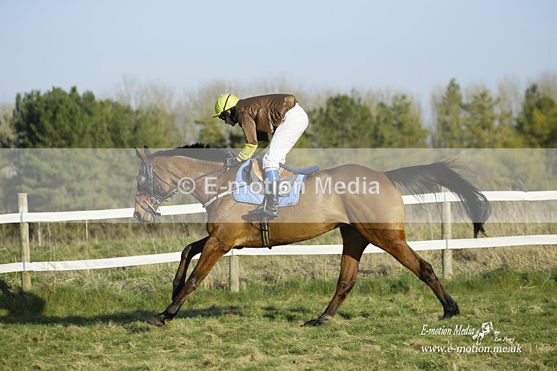 PtP 270222 494 - South & West Wilts Point-to-Point Larkhill 27/02/22
