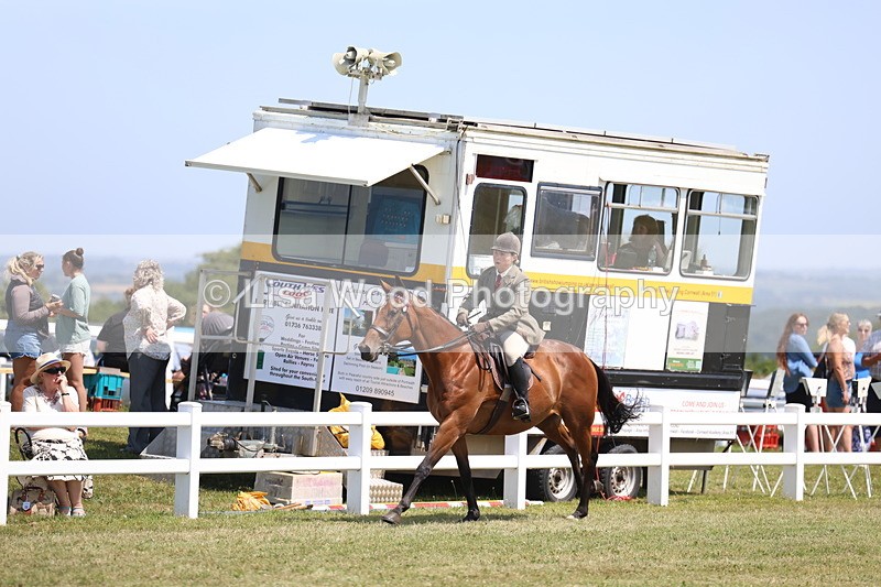 3E7A9359 - Class 12: Open Racehorse to Show Horse
