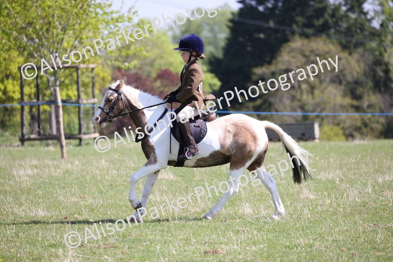 20250427-3216 - Class 33 - Best Pony 14.2hh and Under