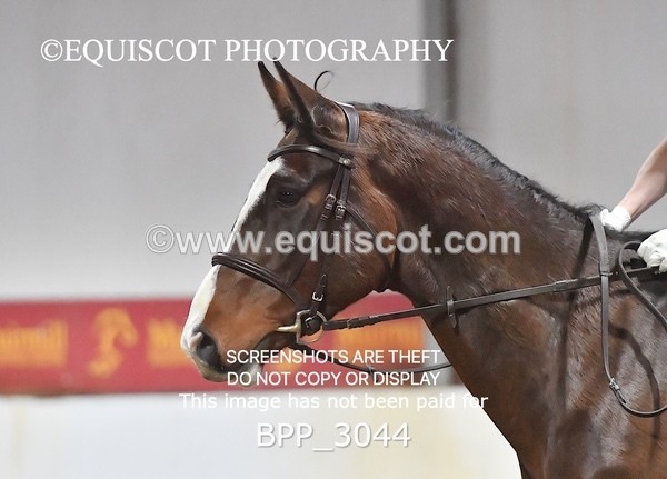 BPP_3044 - INTRO TEST 1