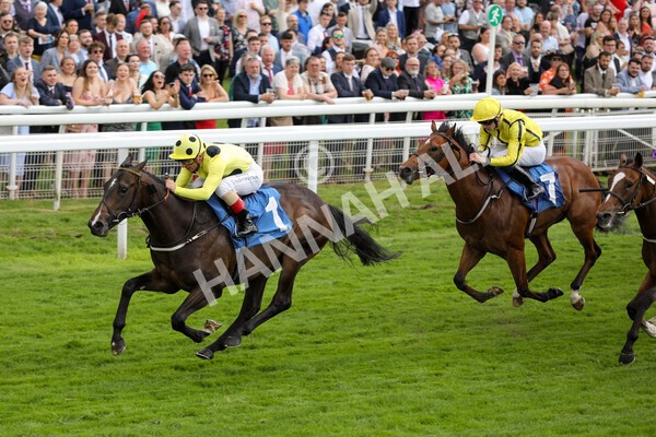 yr11062022r6-29 - Race 6 4.15pm Reg Griffin Appreciation EBFstallions.com Maiden Stakes
