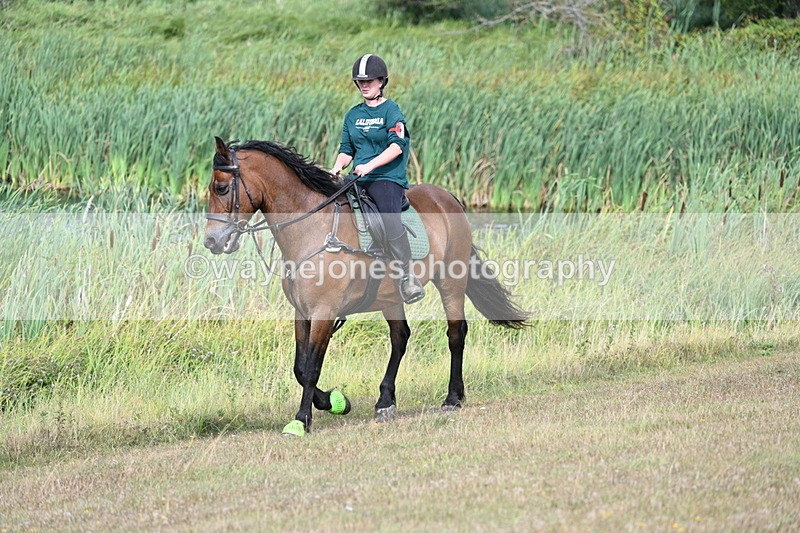 WJ7_4885 - Time 11:17 to 11:22